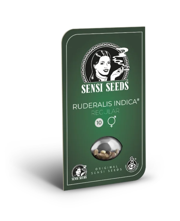 Ruderalis Indica® Reg. - 10 Samen - Sensi Seeds