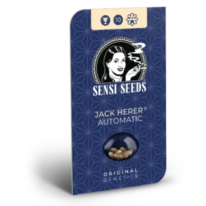 Jack Herer Auto - 3 Samen - Sensi Seeds