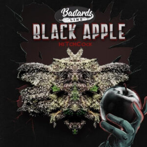 T.H.Seeds™ Black Apple Hitchcock Fem.-Sämling