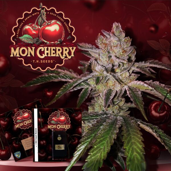T.H.Seeds™ Mon Cherry Fem.-Sämling